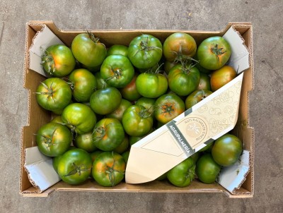 Foto Pomodoro Verdone Varietà Caramba Origine Spagna Marchio Agrupalmeria 3
